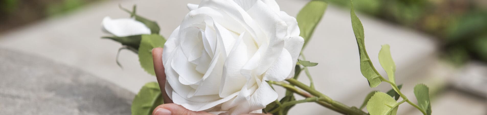 Hoe hoog is de erfbelasting?